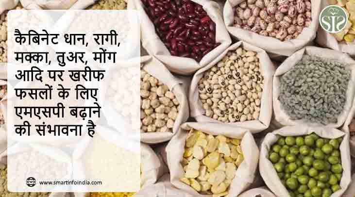 कैबिनेट धान, रागी, मक्का, तुअर, मोंग आदि पर खरीफ फसलों के लिए एमएसपी बढ़ाने की संभावना है
