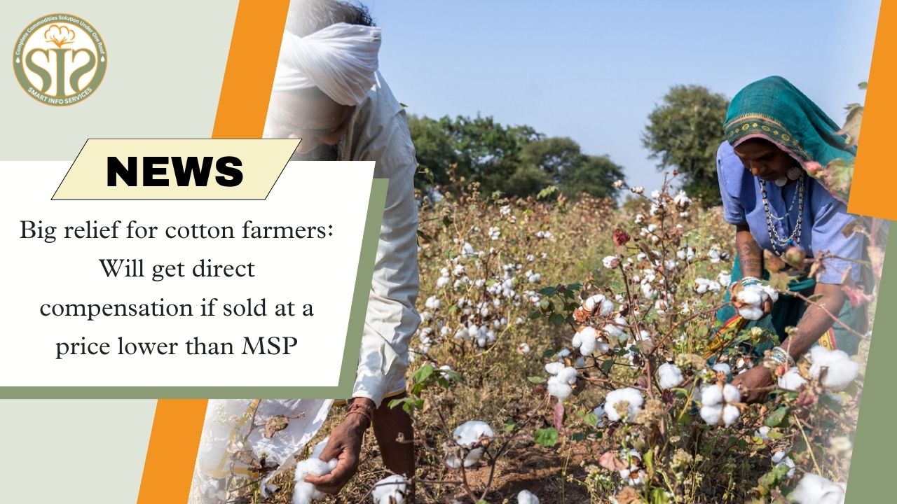 Compensation to be provided for selling cotton below MSP.