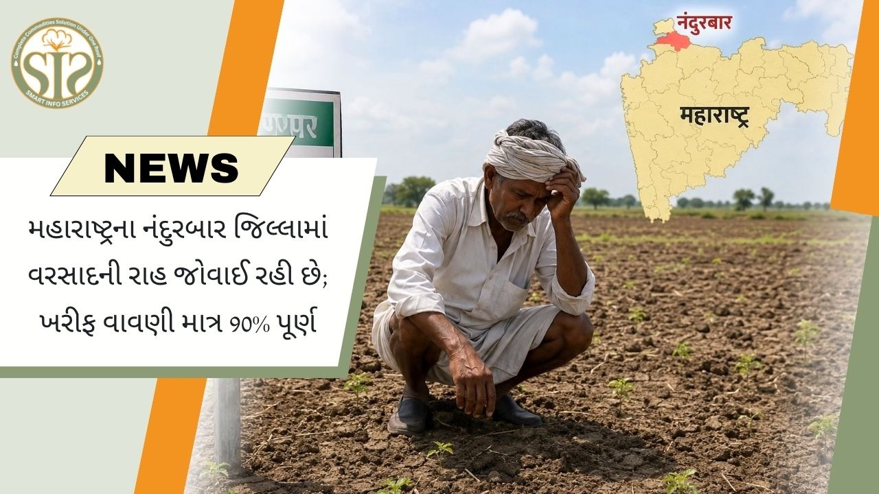 નંદુરબારમાં ખરીફ વાવેતર અટક્યું