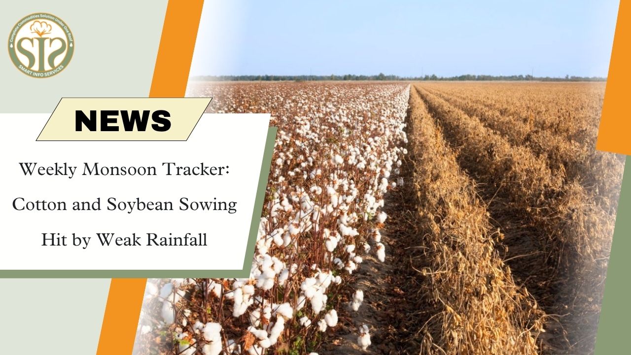 Weekly Monsoon Tracker: Weak Rainfall Slows Cotton and Soybean Sowing
