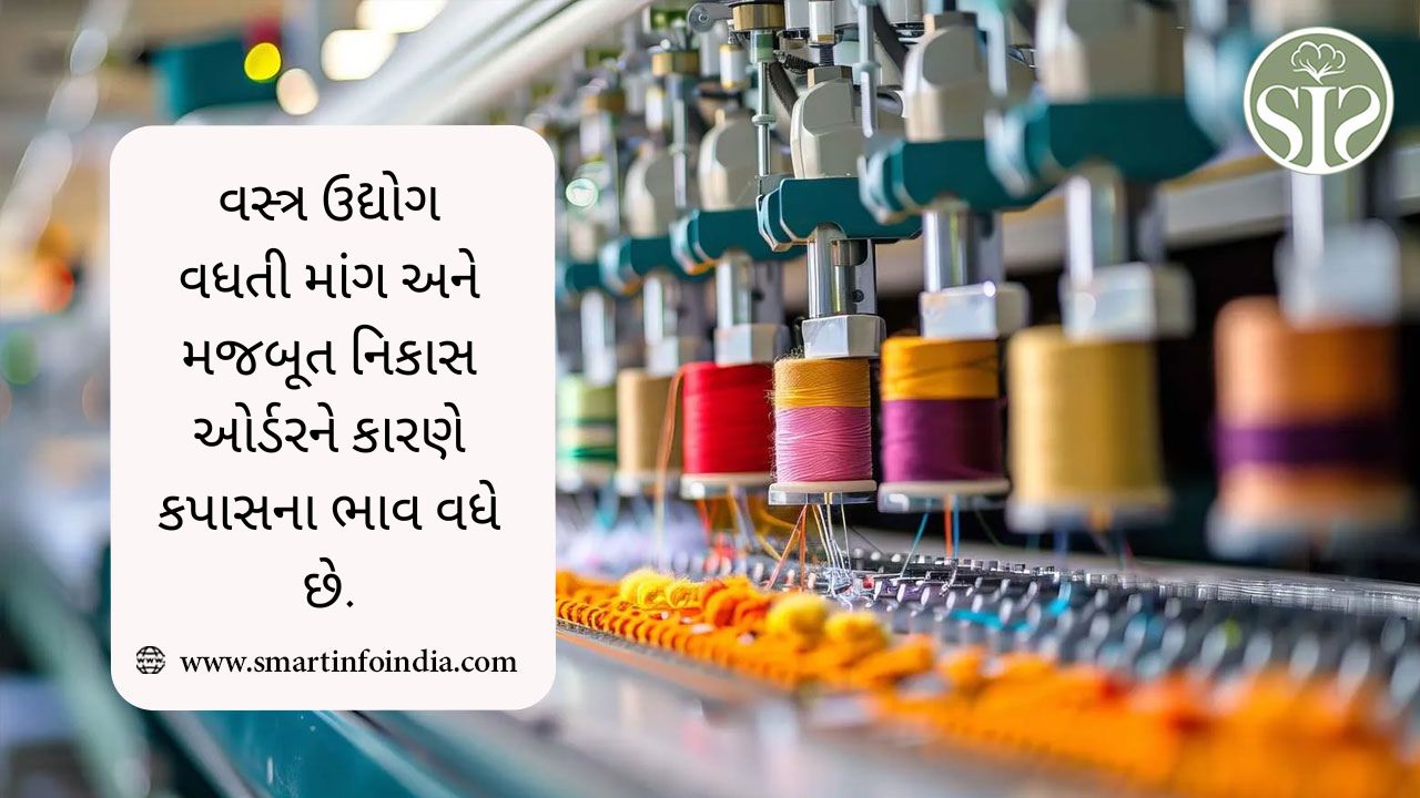 વસ્ત્ર ઉદ્યોગ વધતી માંગ અને મજબૂત નિકાસ ઓર્ડરને કારણે કપાસના ભાવ વધે છે.