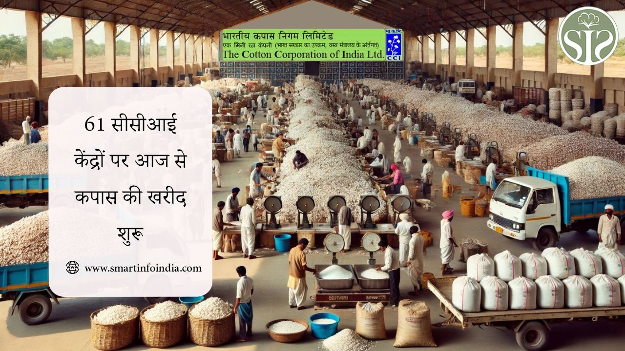 61 सीसीआई केंद्रों पर आज से कपास की खरीद शुरू
