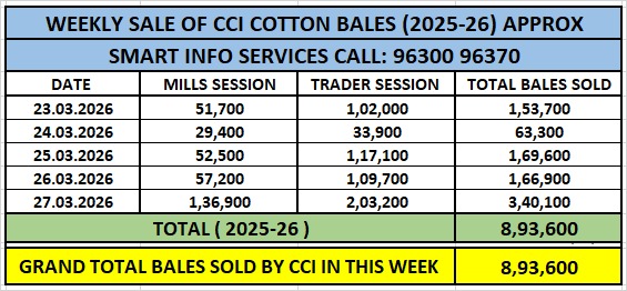 CCIએ કપાસના ભાવમાં ₹200-₹500નો વધારો કર્યો, વેચાણ 8.93 લાખ ગાંસડીને પાર