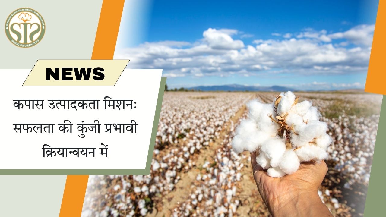 कपास उत्पादकता मिशन: सही क्रियान्वयन, बेहतर परिणाम
