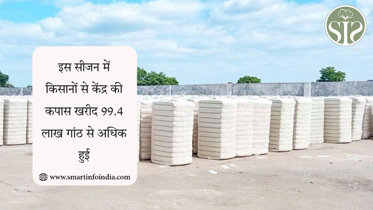 केंद्र की कपास खरीद 99.4 लाख गांठों से अधिक हुई