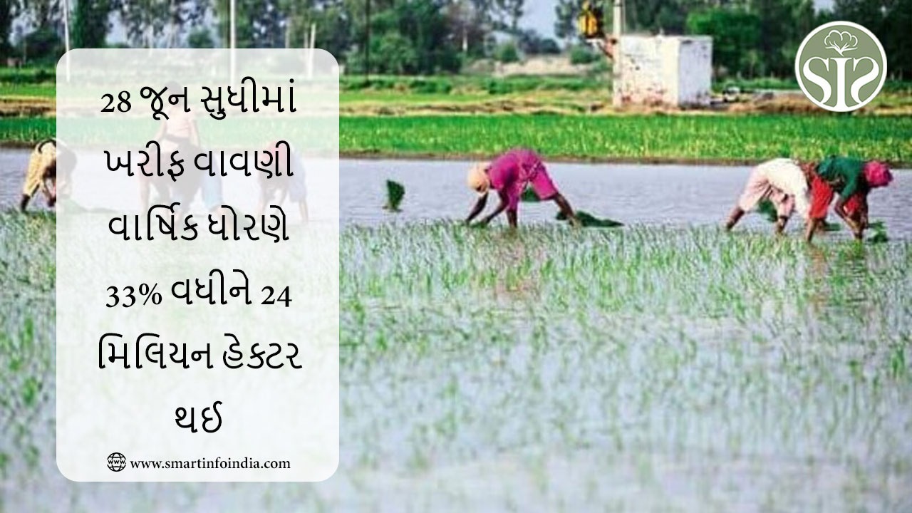 ગયા વર્ષની સરખામણીમાં 28 જૂન સુધી ખરીફ વાવણી 33% વધીને 24 મિલિયન હેક્ટર થઈ
