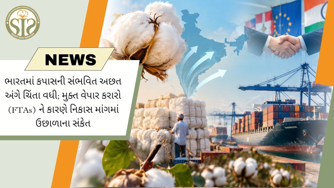 ભારતમાં કપાસની અછતનું જોખમ વધ્યું, FTA કરારોને કારણે નિકાસ માંગમાં તેજીના સંકેત