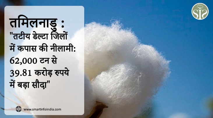 तमिलनाडु : "तटीय डेल्टा जिलों में कपास की नीलामी: 62,000 टन से 39.81 करोड़ रुपये में बड़ा सौदा"