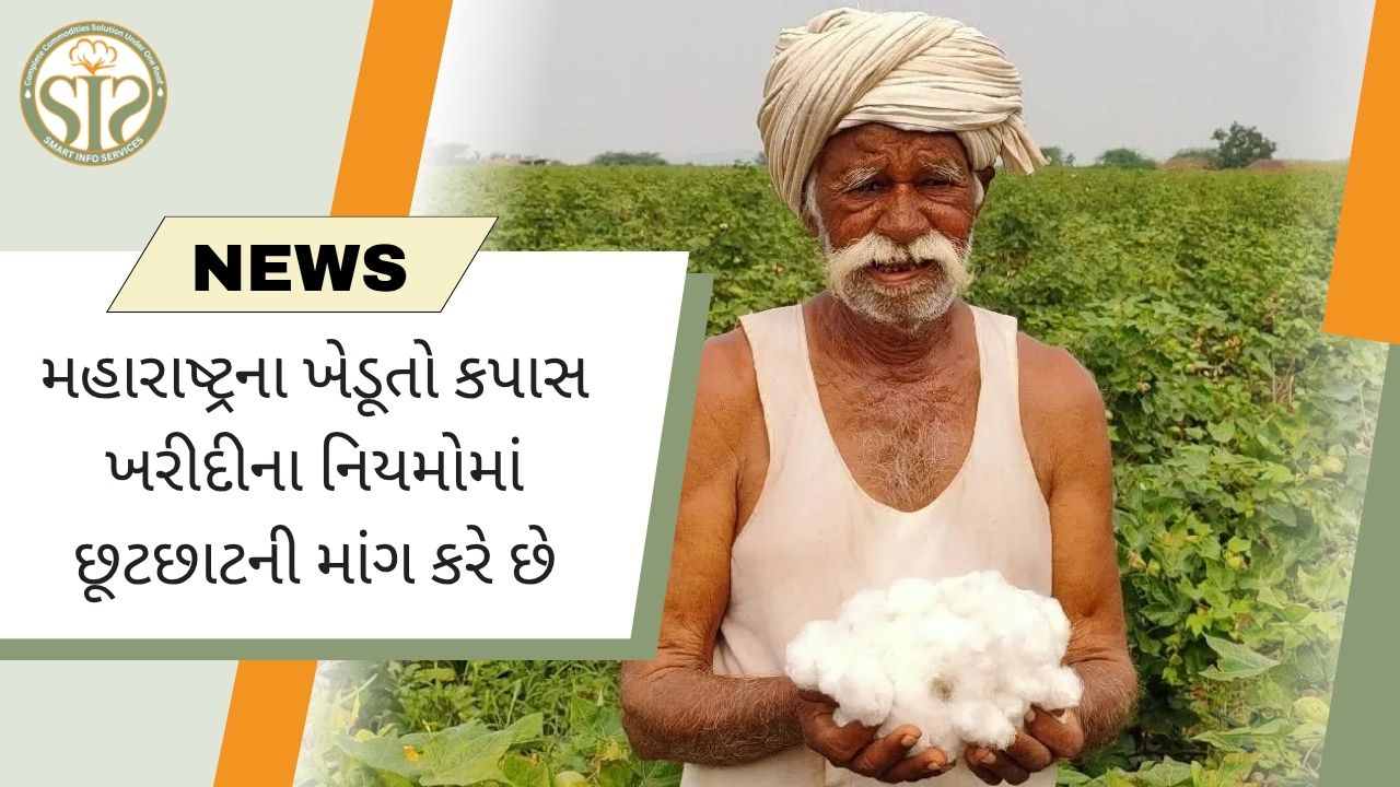 ખેડૂતો કપાસ ખરીદી નીતિઓમાં રાહતની માંગ કરે છે