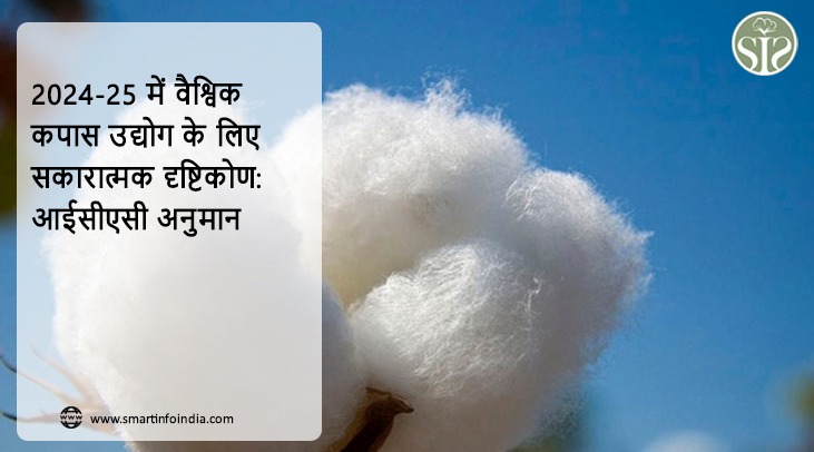 2024-25 में वैश्विक कपास उद्योग के लिए सकारात्मक दृष्टिकोण: आईसीएसी अनुमान