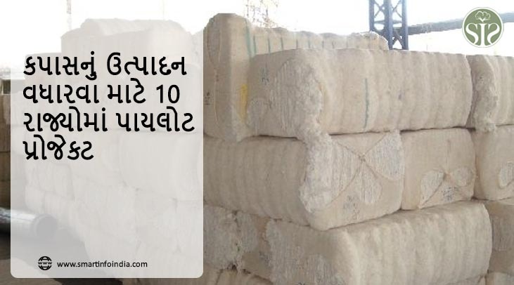 આઉટપુટ વધારવા માટે 10 રાજ્યોમાં કોટન પાયલોટ