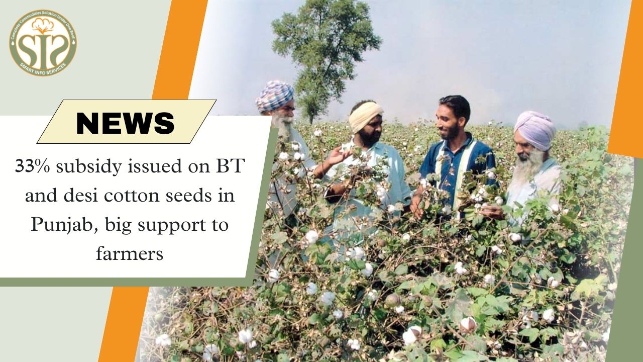 33% Subsidy on Cotton Seeds in Punjab: Relief for Farmers
