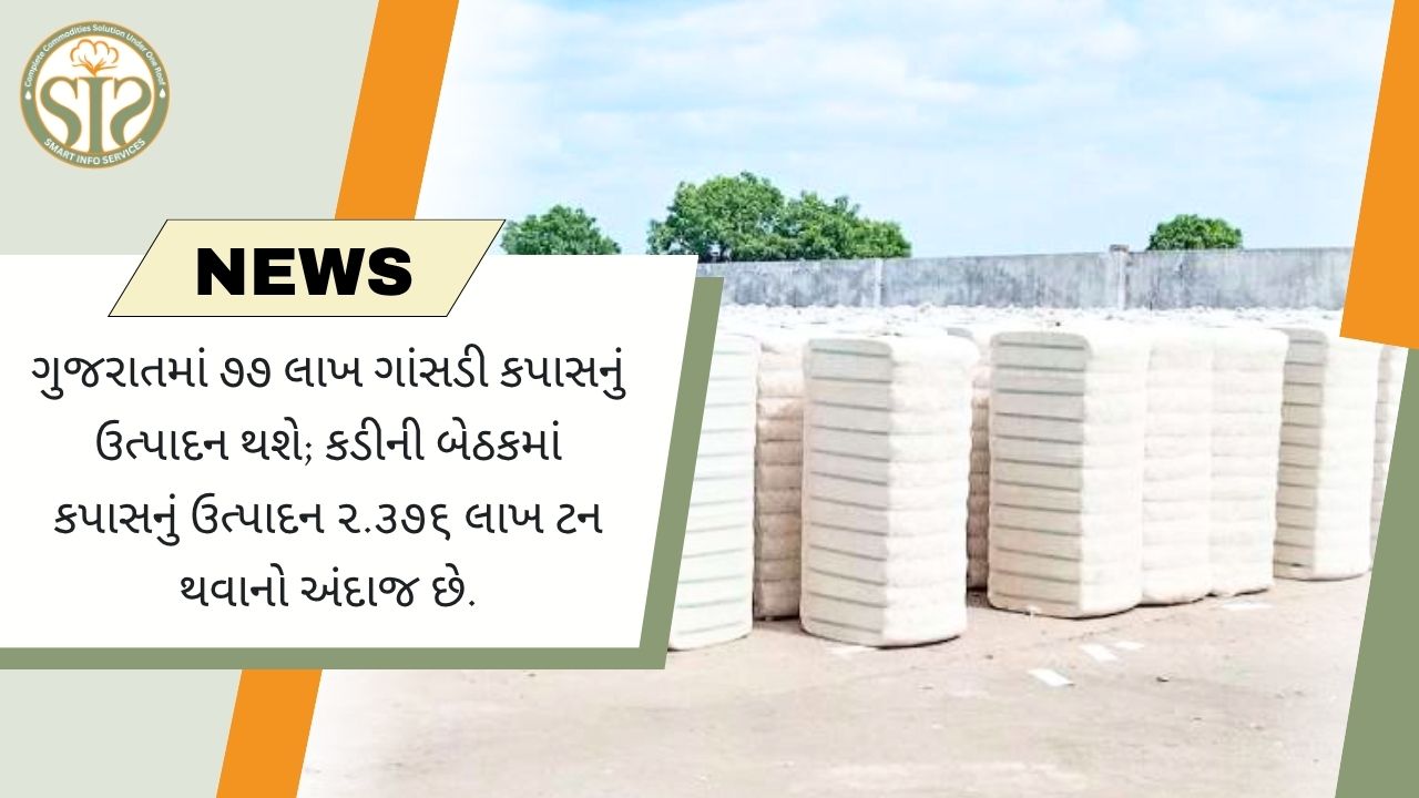 ગુજરાતમાં કપાસનું ઉત્પાદન ૨૩.૭૬ લાખ ટન થવાનો અંદાજ છે, જેમાં ૭૭ લાખ ગાંસડી કપાસનો સમાવેશ થાય છે.
