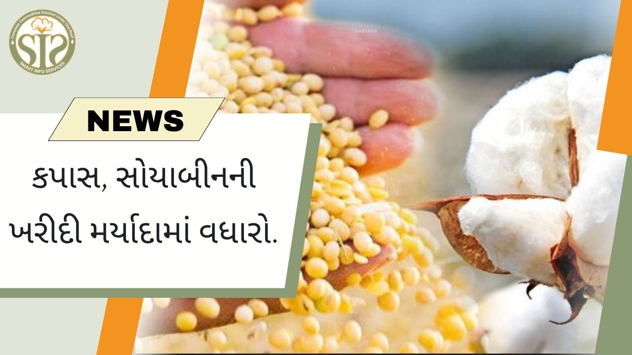 કપાસ-સોયાબીન ખરીદી મર્યાદા વધારવાની માંગ