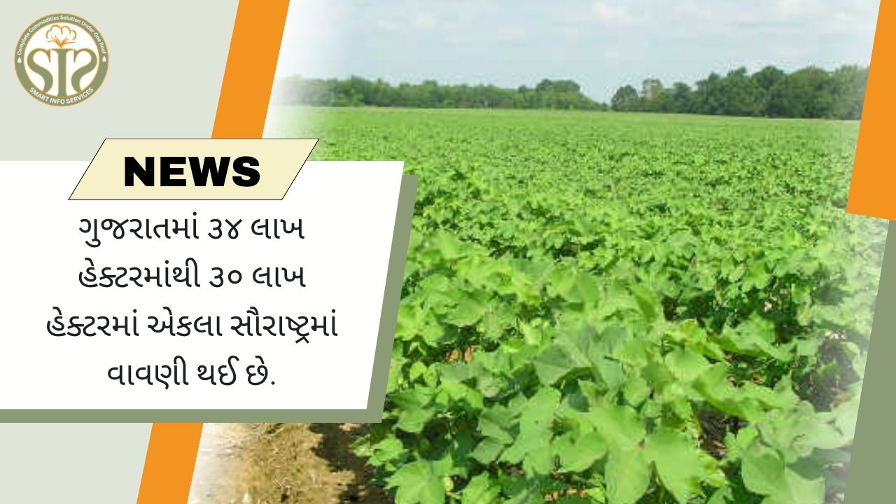 સૌરાષ્ટ્ર ૩૦ લાખ હેક્ટરમાં વાવણી સાથે મોખરે