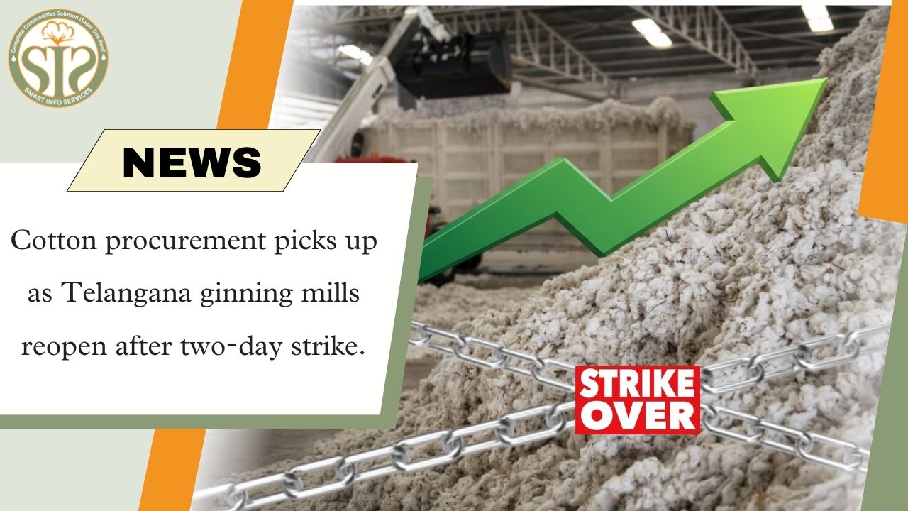 Telangana strike ends, cotton procurement picks up