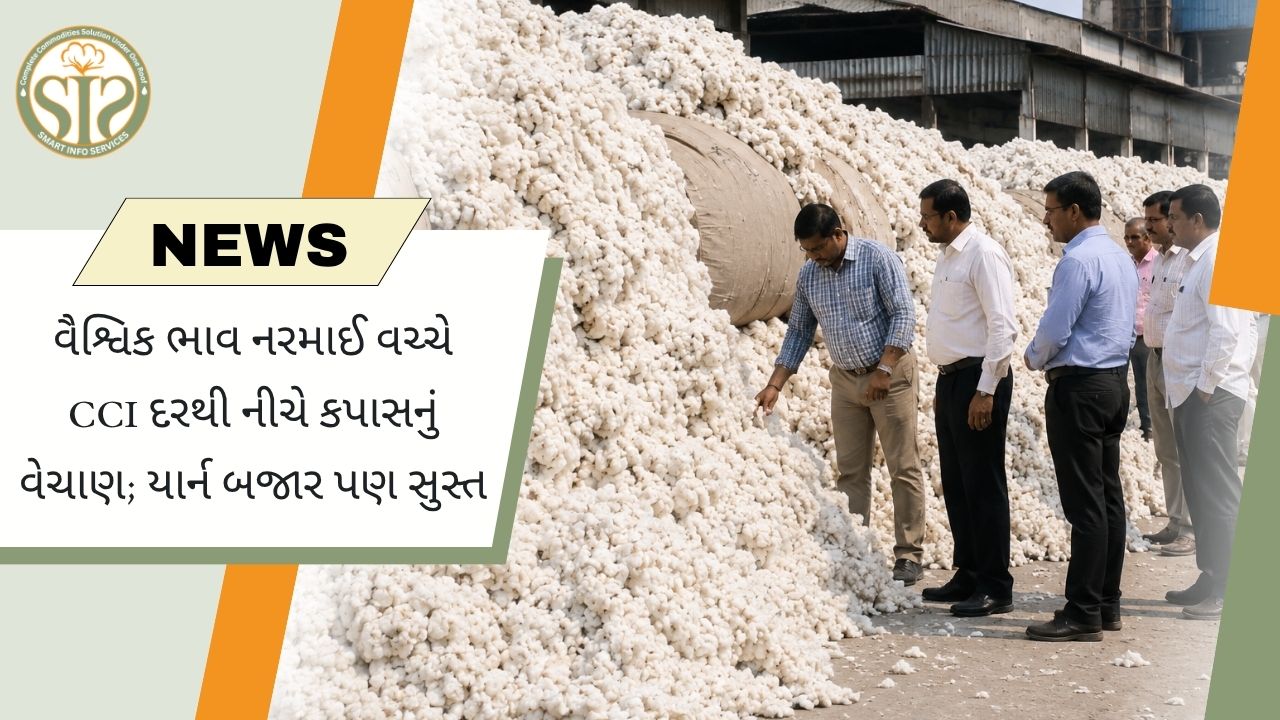 નબળી માંગથી CCI દરથી નીચે પહોંચ્યો કપાસ