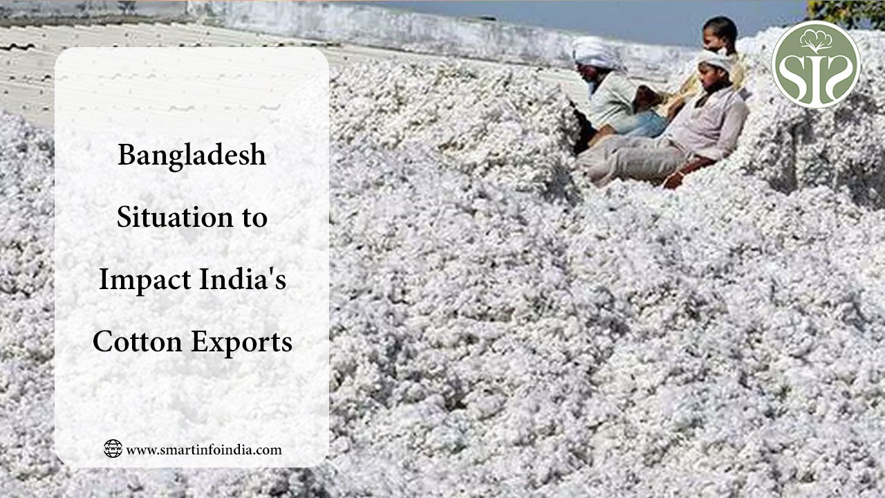 Bangladesh Situation to Impact India's Cotton Exports