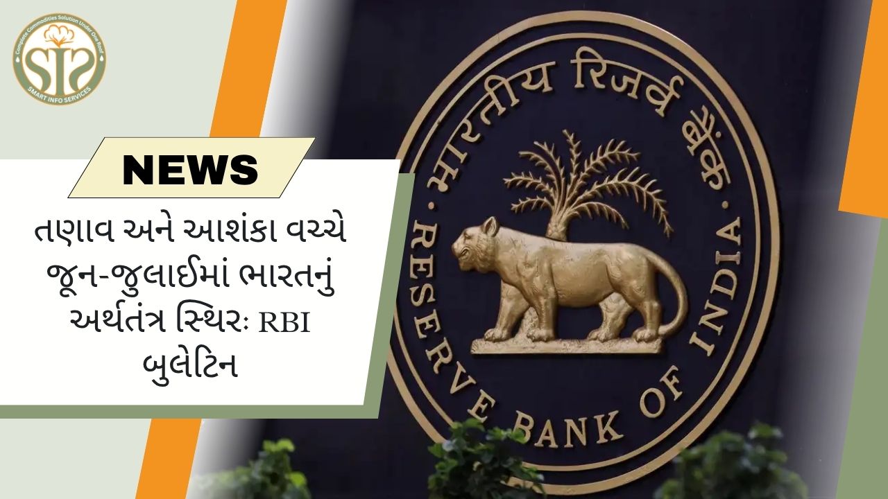 જૂન-જુલાઈમાં ભારતીય અર્થતંત્ર સ્થિર રહ્યું: RBI