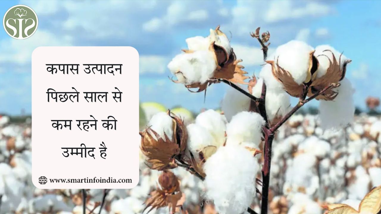 कपास उत्पादन पिछले साल से कम रहने की उम्मीद है