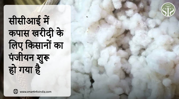 सीसीआई में कपास खरीदी के लिए किसानों का पंजीयन शुरू हो गया है