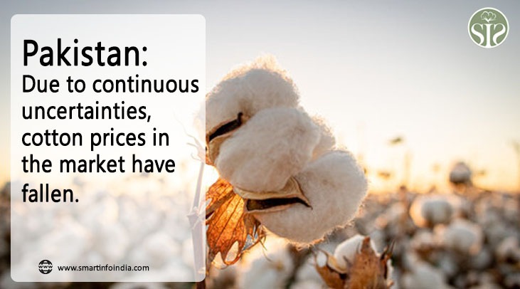 *Pakistan: Due to continuing uncertainties, the rate in the cotton market has further declined*