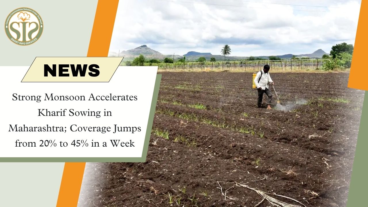 Strong Monsoon Boosts Kharif Sowing in Maharashtra; Coverage Reaches 45% in One Week