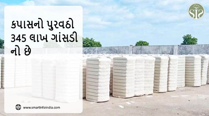 કપાસનો પુરવઠો 345 લાખ ગાંસડી હોવાનો અંદાજ છે
