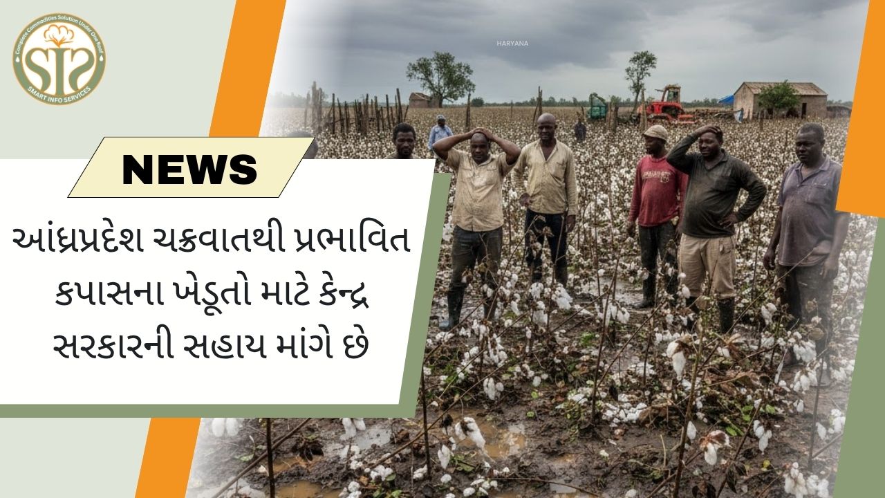 ચક્રવાતથી પ્રભાવિત કપાસના ખેડૂતો માટે આંધ્રપ્રદેશે કેન્દ્ર પાસે મદદ માંગી