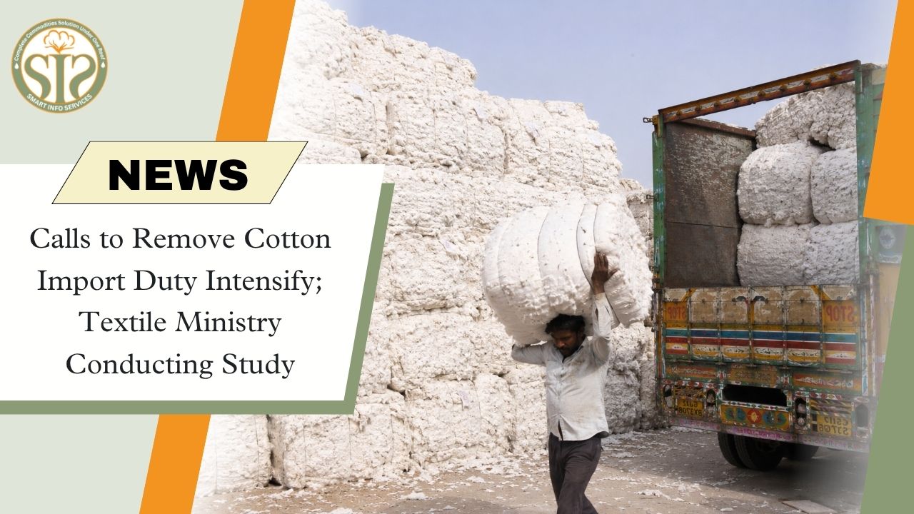 Demand to Remove Cotton Import Duty Intensifies