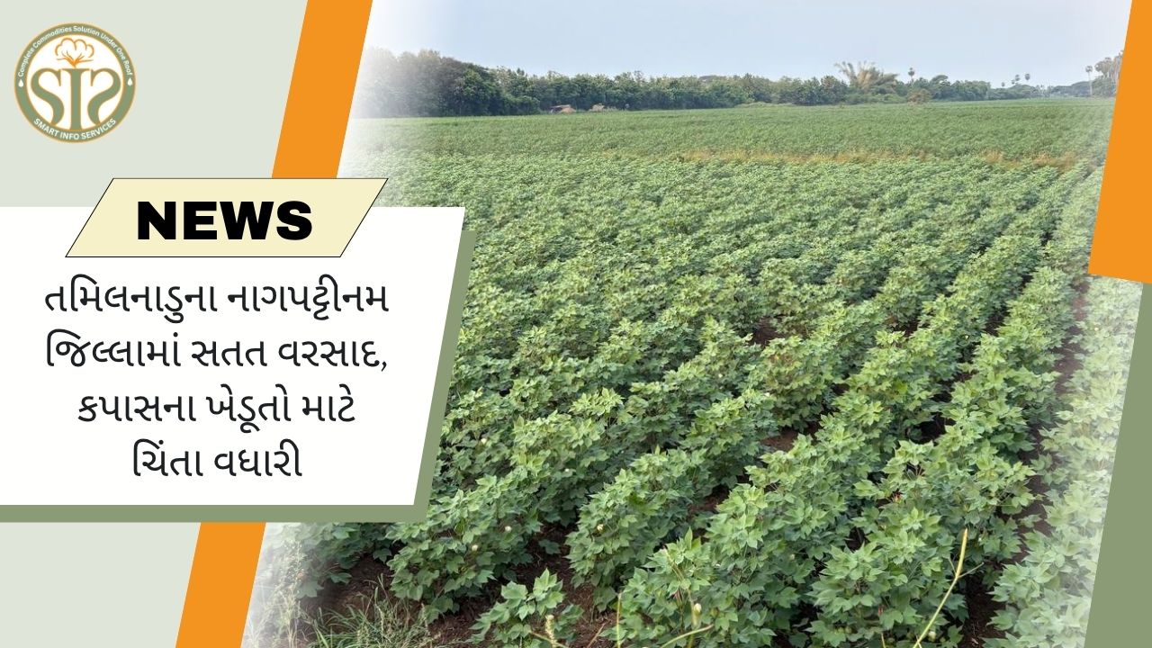તમિલનાડુ: નાગપટ્ટિનમ જિલ્લામાં સતત વરસાદથી ખેડૂતો ચિંતિત