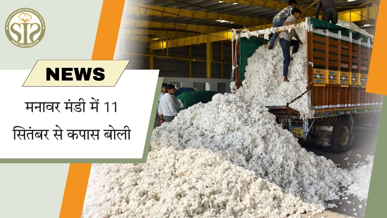मनावर मंडी में 11 सितंबर से कपास नीलामी