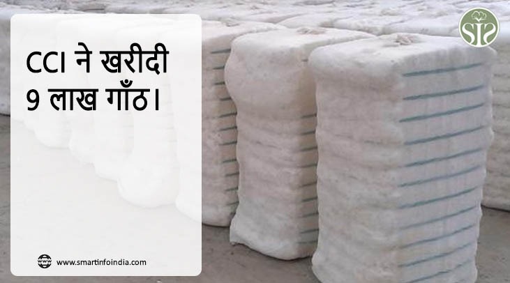 CCI ने खरीदी 9 लाख गाँठ।