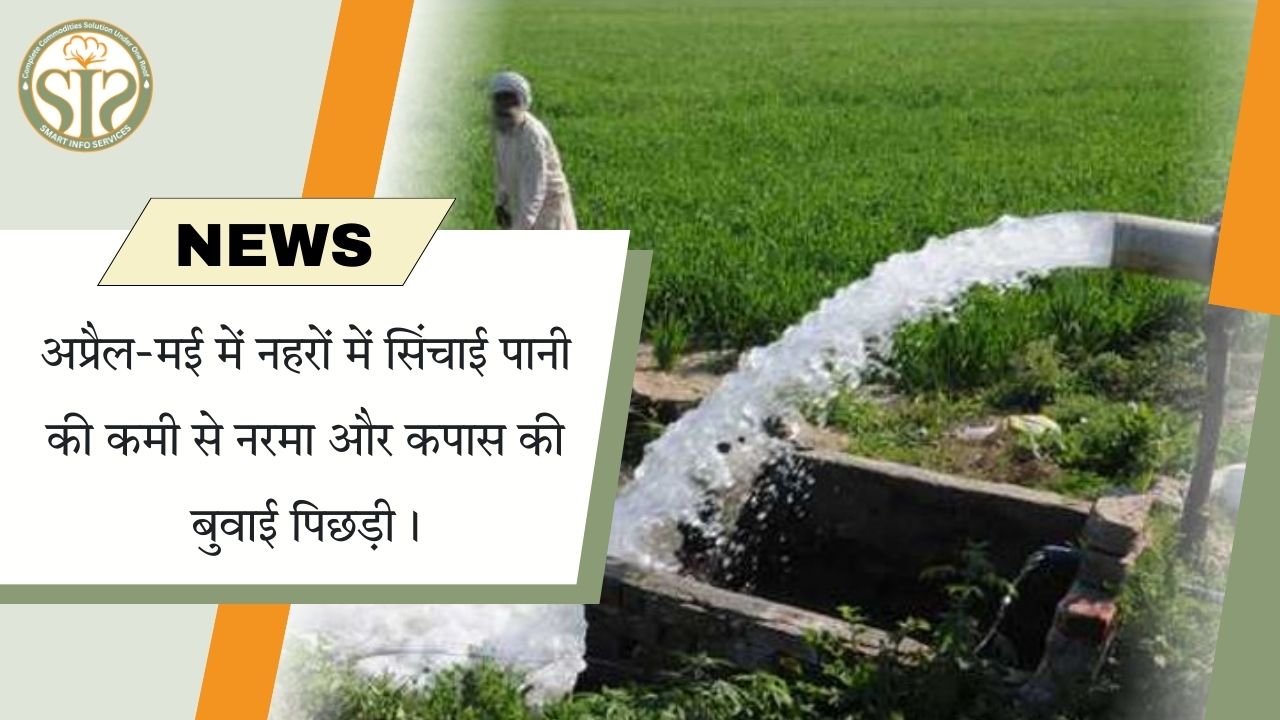 नहरों में पानी की कमी से नरमा-कपास की बुवाई प्रभावित