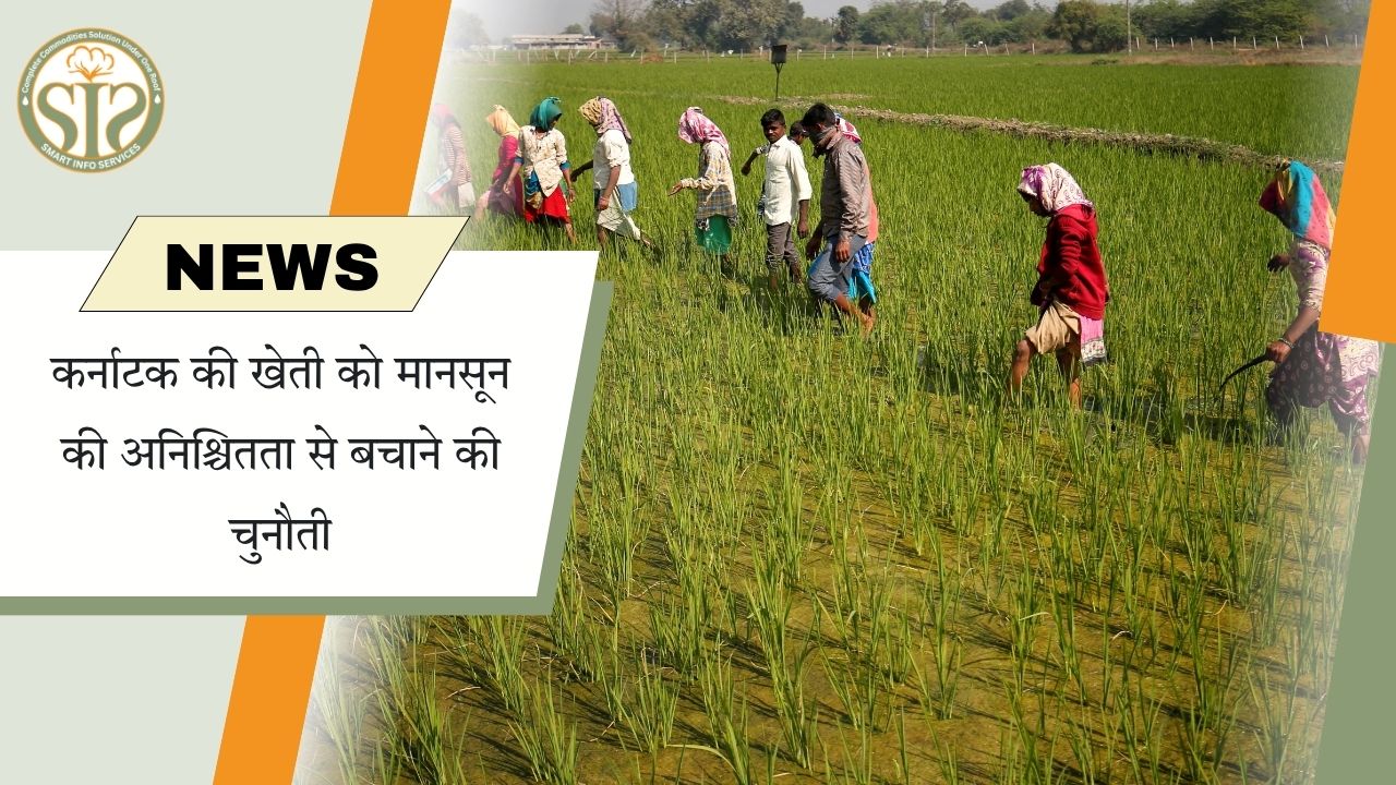 कर्नाटक में कमजोर मानसून से खरीफ फसलों और खाद्य सुरक्षा पर बढ़ा संकट