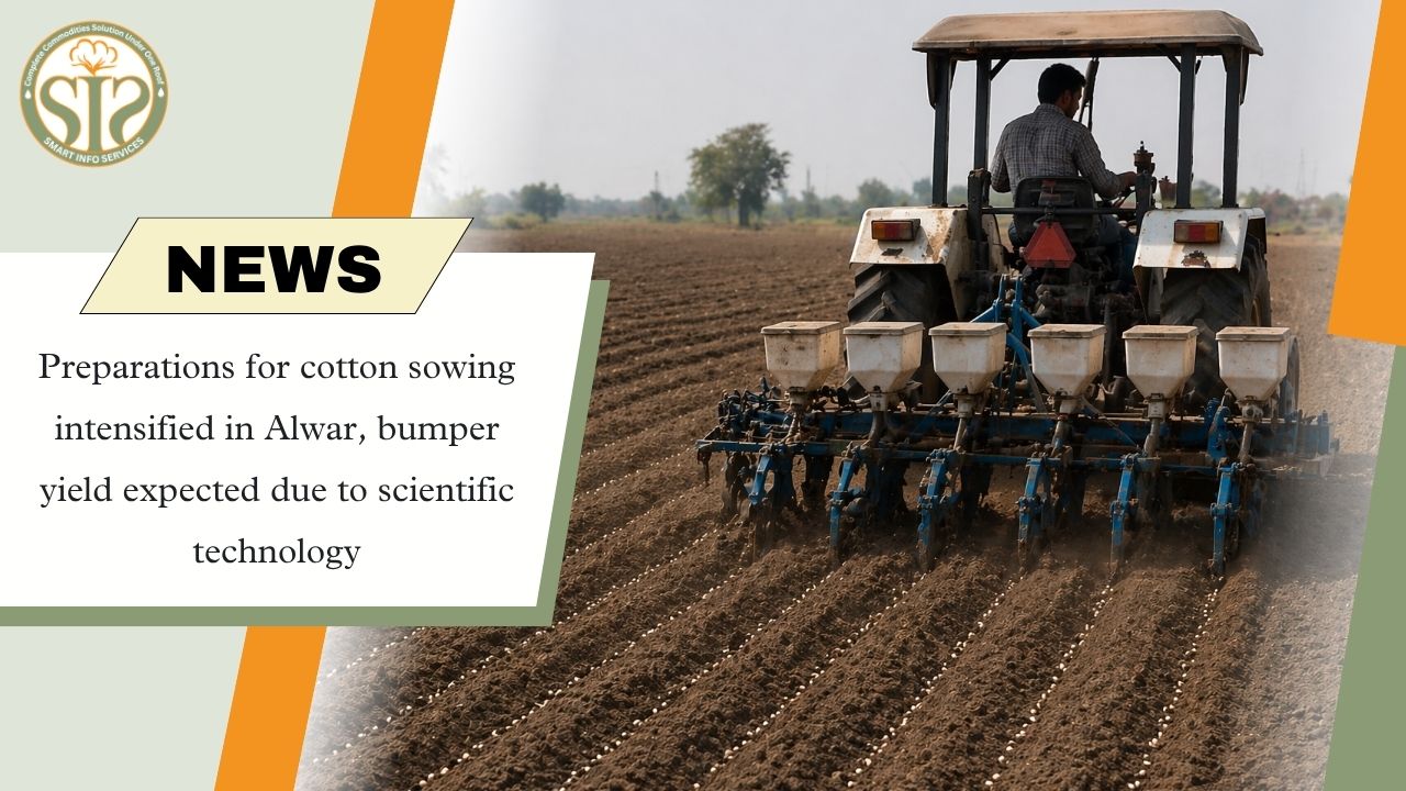Preparations for Cotton Sowing Underway in Alwar; Bumper Yield Expected