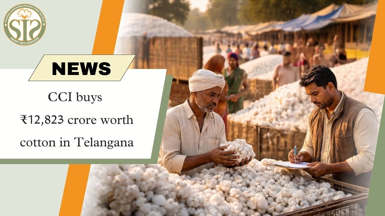 CCI buys cotton worth ₹12,823 crore in Telangana