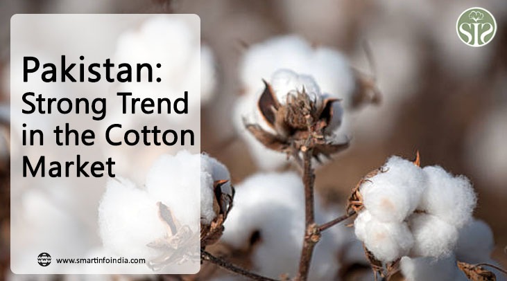 Pakistan Strong trend in cotton market