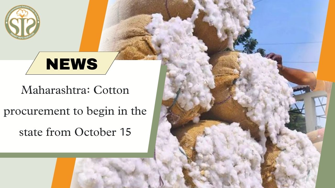 Maharashtra: Cotton procurement begins in the state from October 15