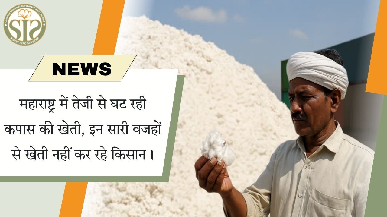 महाराष्ट्र में घटती कपास की खेती के पीछे के कारण