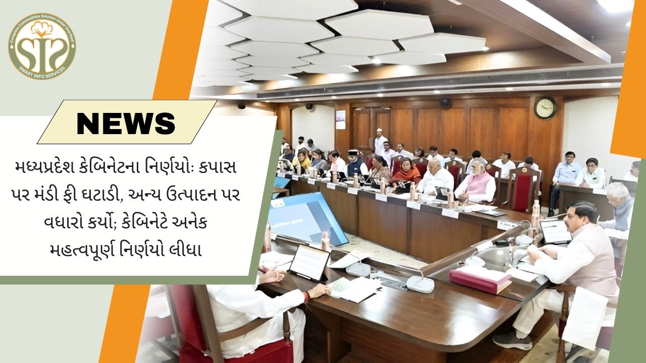 એમપીમાં કપાસ મંડી ફી 0.5% કરવામાં આવી