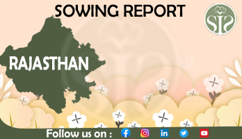RAJASTHAN COTTON SOWING REPORT