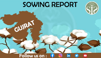 GUJARAT COTTON SOWING AS ON 05-06-2023