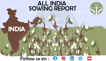 ALL INDIA COTTON SOWING AS ON 16.06.2023