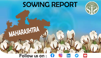 MAHARASHTRA COTTON SOWING AS ON 16.06.2023