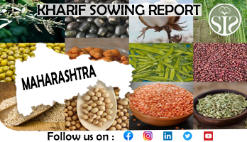 MAHARASHTRA KHARIF SOWING REPORT AS ON 11.07.23