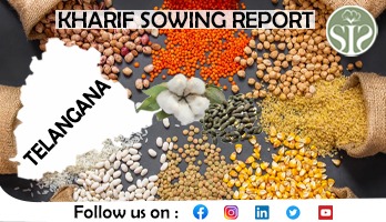 TELANGAN KHARIF SOWING