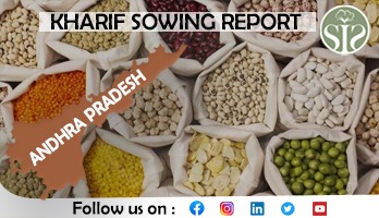 ANDHRA PRADESH KHARIF SOWING AS ON DATE : 04.07.24