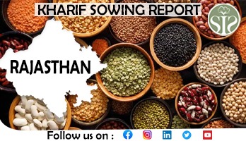 RAJASTHAN KHARIF SOWING 15.07.2024
