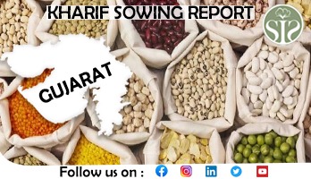 GUJARAT KHARIF SOWING 22.07.24